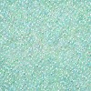 11/0 FGB Grade A Transparent Glass Seed Beads X-SEED-N001-E-316-2