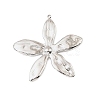 304 Stainless Steel Pendants STAS-Z199-12P-06-1