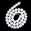 Natural Selenite Beads Strands G-N328-025B-02-2