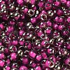 Transparent Inside Colours Glass Seed Beads SEED-H002-A-C207-3