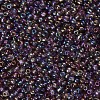 8/0 Glass Seed Beads X1-SEED-A007-3mm-176-2