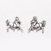 Tibetan Style Alloy Pendants TIBEP-E131-AS-1