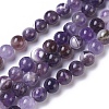 Natural Chevron Amethyst Beads Strands G-I222-10mm-01-1