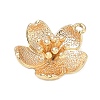 Brass Pendants KK-D263-01G-05-2