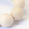 Frosted Natural Fossil Round Bead Strands X-G-E334-6mm-22-4