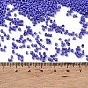 Baking Paint Glass Seed Beads X-SEED-S042-05B-74-4
