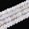 Natural Weathered Agate Beads Strands G-N357-13A-05-2