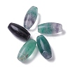 Natural Fluorite Beads G-F711-02-1