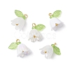 5Pcs Transparent Acrylic Pendants PALLOY-JF04703-01-1