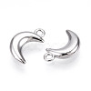 304 Stainless Steel Charms STAS-N109-138P-2