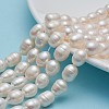 Natural Cultured Freshwater Pearl Beads Strands Rice A23TR011-1