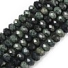 Natural Kambaba Jasper Bead Strands G-D344-A06-3