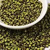 8/0 Opaque Colours Seep Glass Seed Beads SEED-F003-04B-04-1