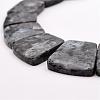 Natural Larvikite Graduated Bead Strands G-P296-F01-2
