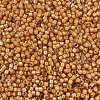 MIYUKI Delica Beads SEED-X0054-DB1778-3