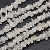 Chips Natural White Moonstone Beads Strands X-G-N0164-57-1