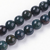Natural Bloodstone Beads Strands G-N0120-25-8mm-1