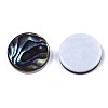 Natural Abalone Shell/Paua Shell Cabochons SSHEL-N034-72A-01-2