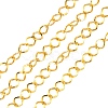 Iron Twisted Chains CH-2.0BSFD-G-1