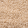 MIYUKI Delica Beads X-SEED-J020-DB0205-3