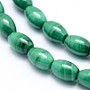 Natural Malachite Beads Strands G-D0011-09A-3