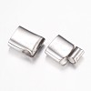 Tarnish Resistant 304 Stainless Steel Magnetic Clasps with Glue-in Ends STAS-P100-09P-2