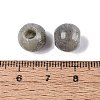 Natural Labradorite European Beads G-Q607-02P-3
