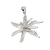 304 Stainless Steel Pendants STAS-Q349-01D-P-1