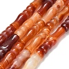 Natural Banded Agate Beads Strands G-Z144-A01-02A-2