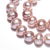 Natural Cultured Freshwater Pearl Beads Strands PEAR-N016-06C-02-4