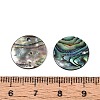 Natural Paua Shell Disc Charms SSHEL-N040-19B-3