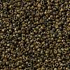 MIYUKI Round Rocailles Beads X-SEED-G009-RR4517-3