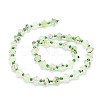 Natural Prehnite Beads Strands G-E569-C01-2