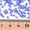 12/0 Glass Seed Beads SEED-A008-2mm-M6-3
