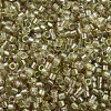 MIYUKI Delica Beads SEED-MY11-DB1766-3