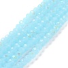 Electroplate Glass Beads Strands EGLA-A034-J10mm-L06-1