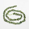 Chips Natural Green Apatite Beads Strands X-G-N0164-26-3