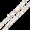 AB Color Plated Glass Beads Strands EGLA-P051-06B-B07-1
