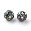 Natural Paua Shell Beads X-SSHEL-Q298-10mm-09-2