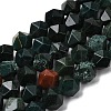 Natural Bloodstone/Heliotrope Beads Strands G-Z119-A16-03-3