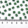 FGB 2-Hole Glass Seed Beads SEED-S031-L-ST127-2