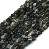 Natural Moss Agate Beads Strands G-Q060-D10-2