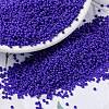 MIYUKI Round Rocailles Beads X-SEED-G009-RR0417-1