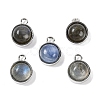 Natural Labradorite Pendants G-K372-03P-08-1