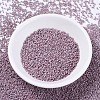 MIYUKI Delica Beads SEED-J020-DB0379-2