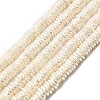 Electroplated Shell Pearl Beads Strands BSHE-B009-E01-2x7mm-1