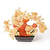 Natural Yellow Quartz Chips Money Tree Bonsai Display Decorations DJEW-B007-08C-3