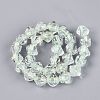 Handmade Foil Glass Beads Strands FOIL-Q002-06C-2