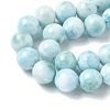 Natural Larimar Beads Strands G-B141-01-10mm-4
