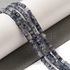 Natural Blue Spot Jasper Beads Strands G-N342-82-2